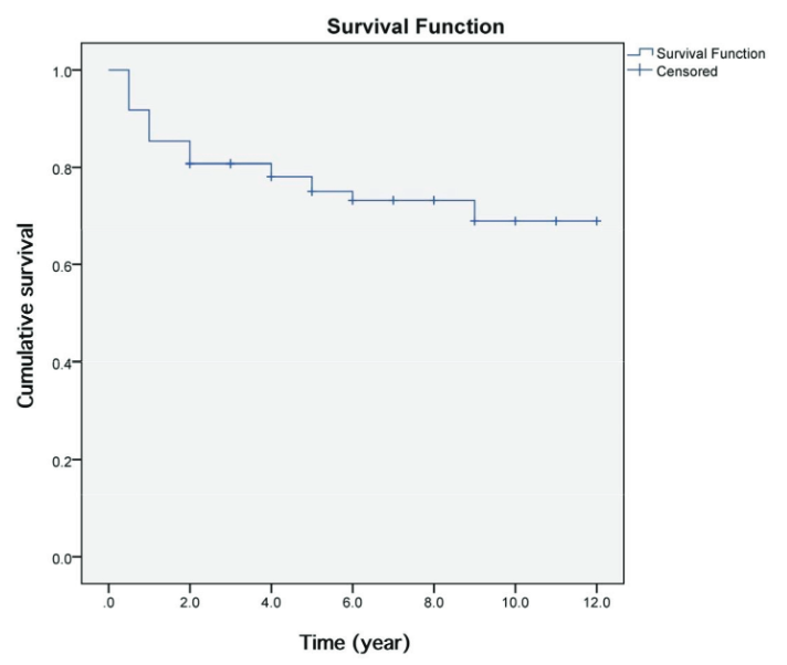 Kaplan-Meier curve of long-term seizure outcome