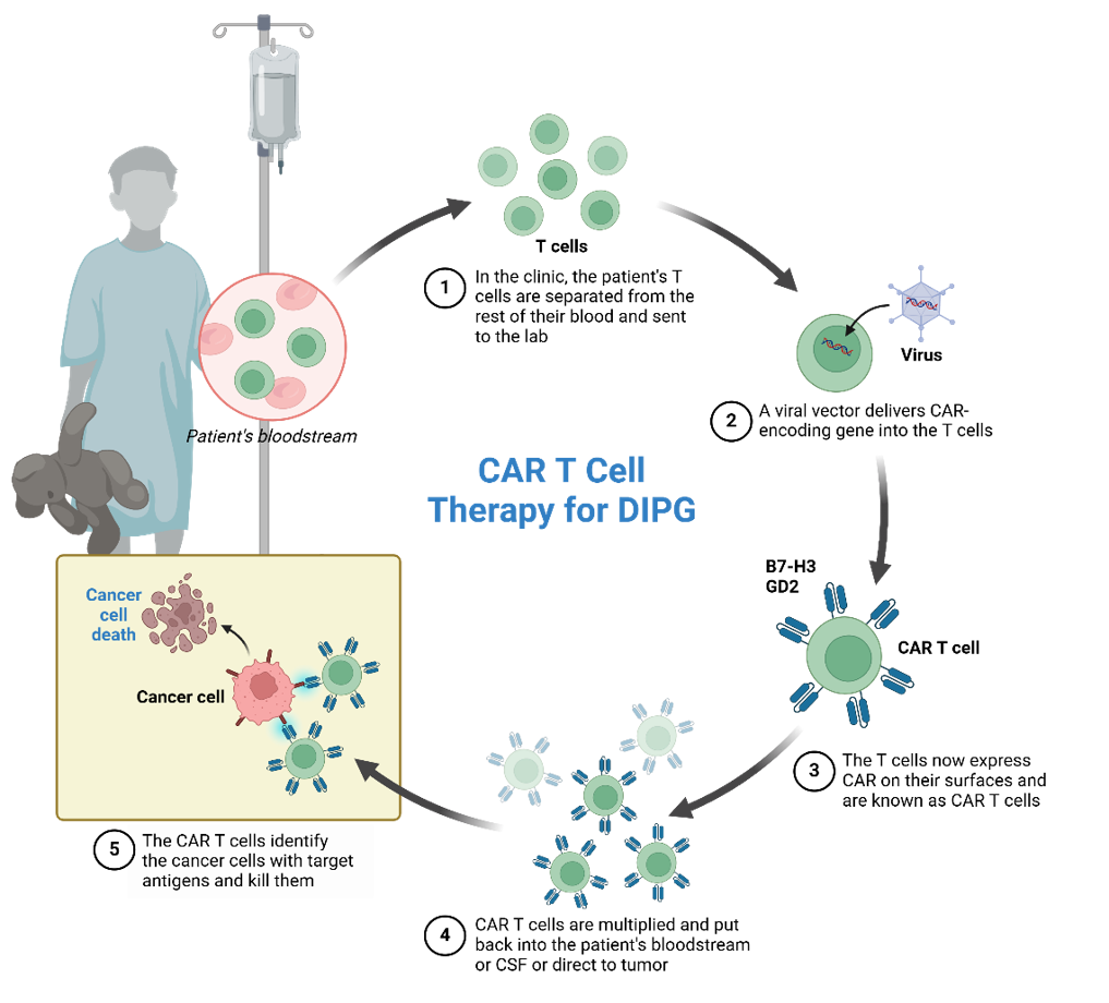 กระบวนการการสร้าง CAR-T cell 