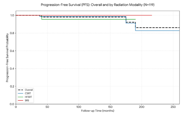 Kaplan-Meier survival analysis demonstrated excellent long-term durability of tumor control